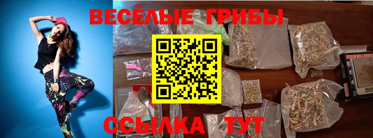 Галлюциногенные грибы мицелий Воронеж